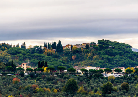 Territorio